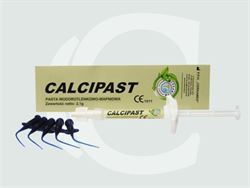 CERKAMED CALCIPAST Hazır Kalsiyum Hidroksit