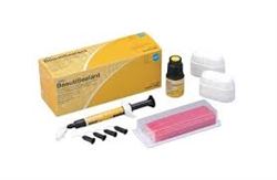 SHOFU BeautiSealant Set